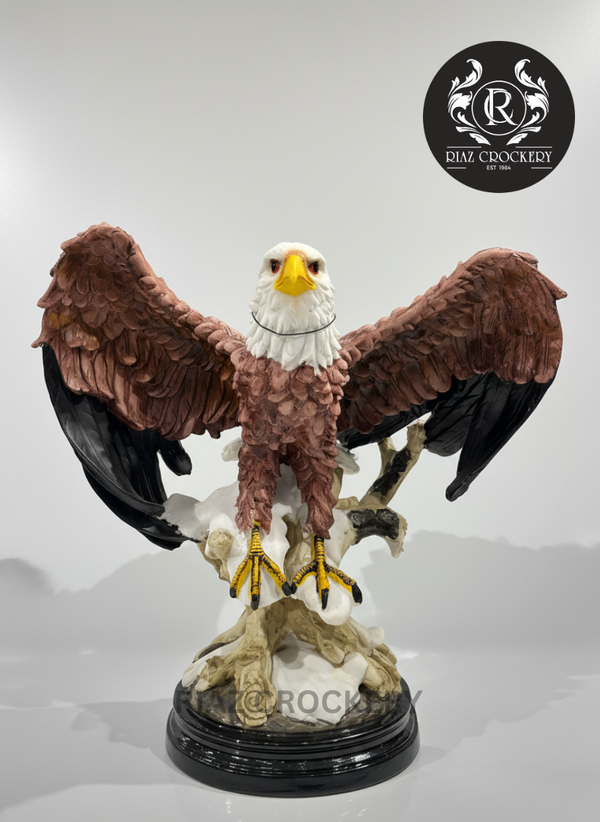 AESTHETIC EAGLE