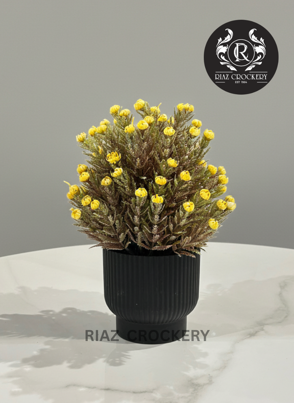 PLASTIC POT PLANTER