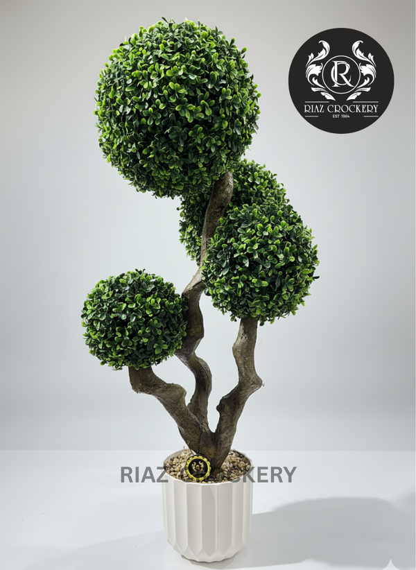 BONSAI PLANTER