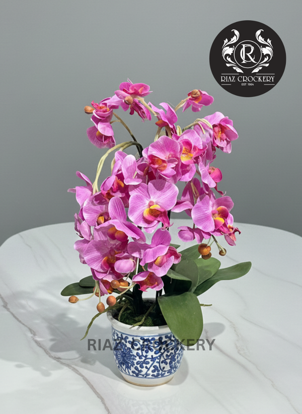 CHINESE POT PLANTER