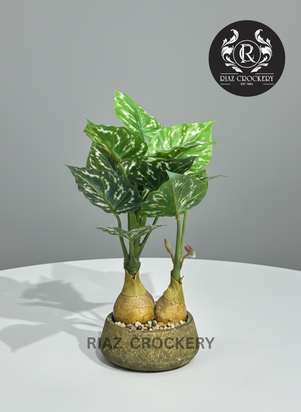 DECORATED PLANTER
