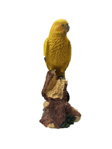 Decoration Parrot