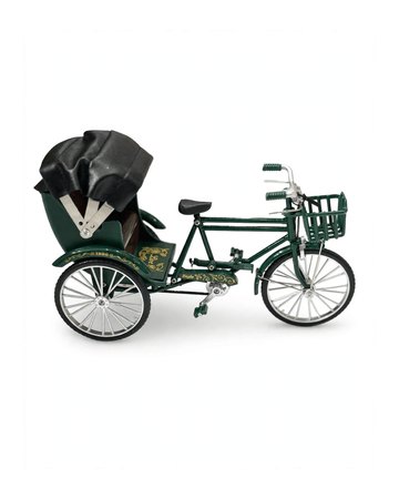 Metal baggi cycle - Riaz Crockery